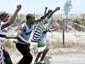 Western Cape Farm Workers Strike [image: 2oceansvibe.com]
