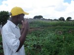 Food garden linked to ZACF-PMCP anarchist project, Motsoaledi squatter camp, Soweto, 2007 [4]