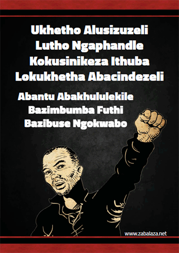 Poster: Anti-Voting [Zulu]